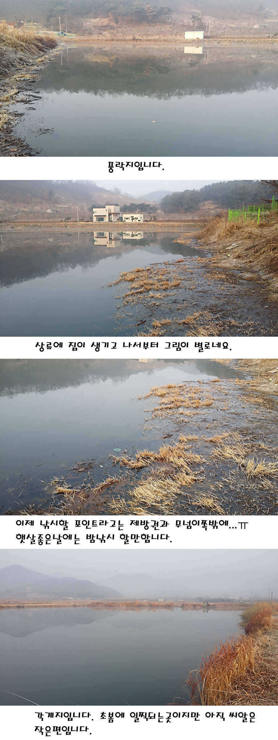 pro_johwang_01494451.jpg