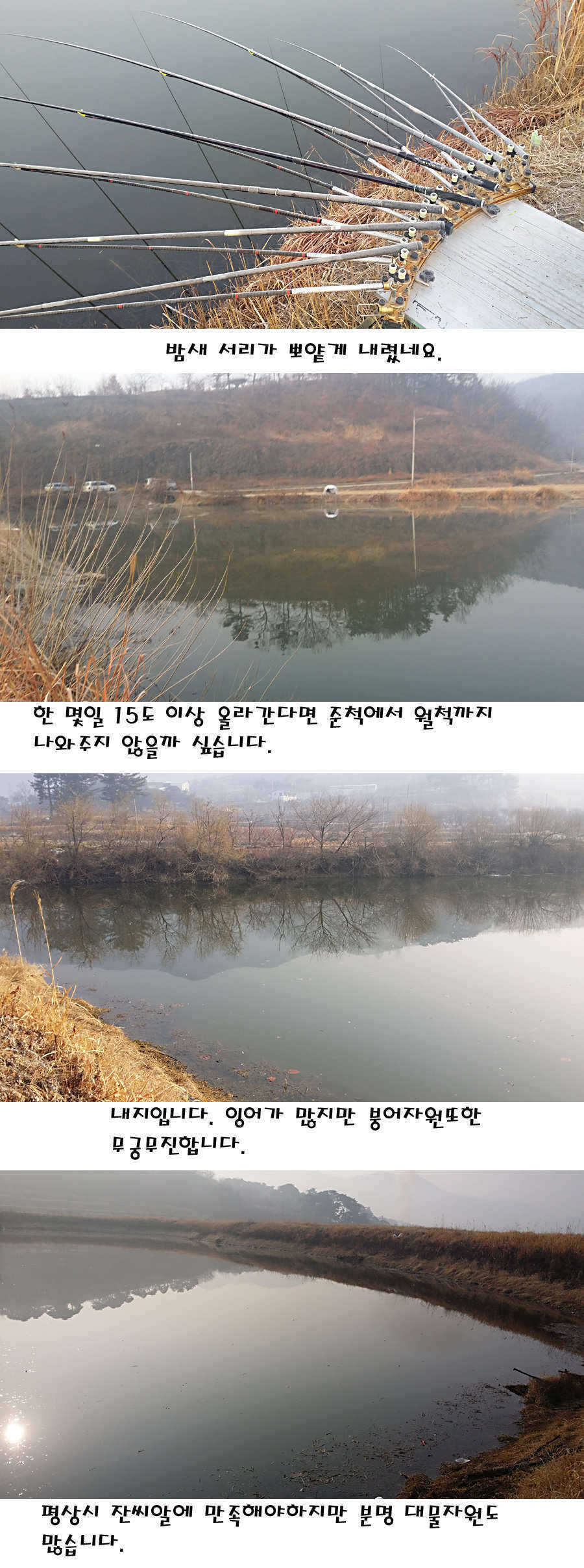 pro_johwang_01494615.jpg