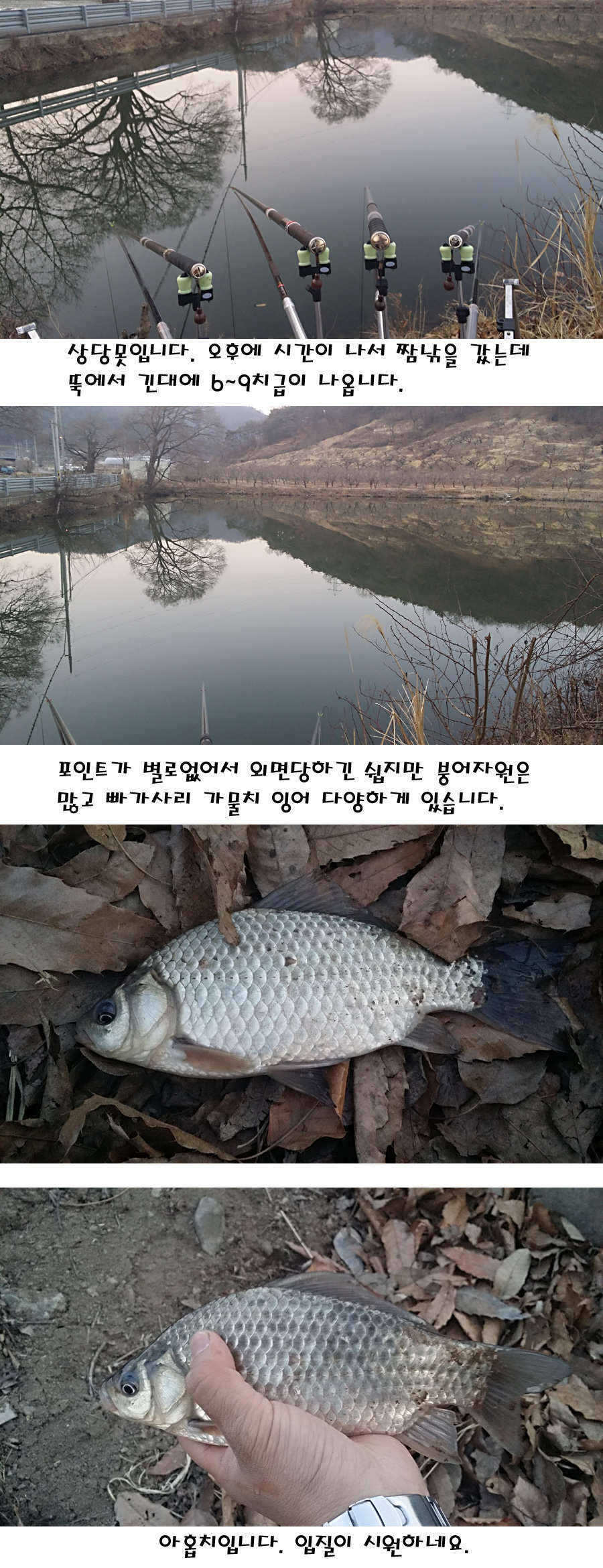 pro_johwang_01494957.jpg