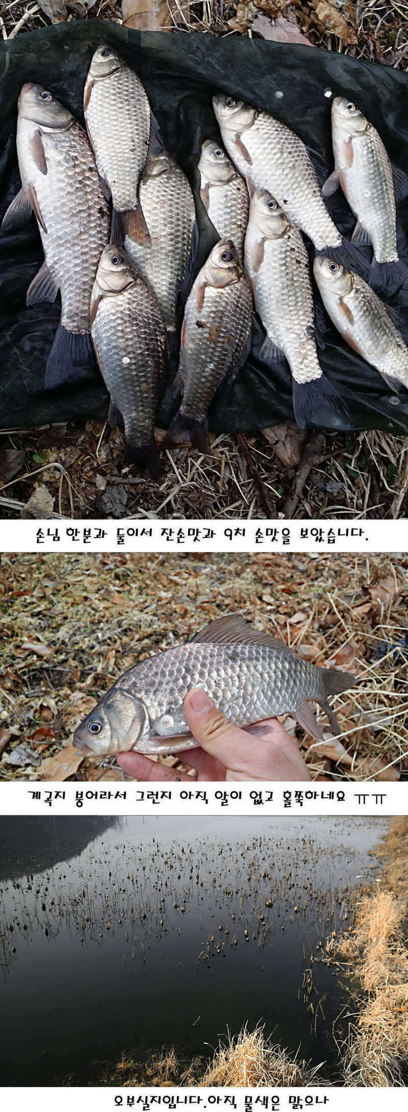 pro_johwang_01495655.jpg