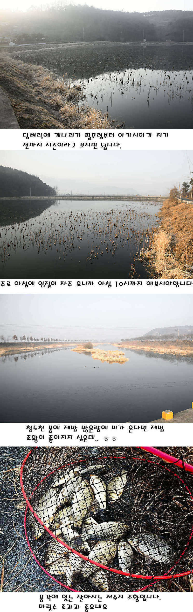 pro_johwang_01495954.jpg