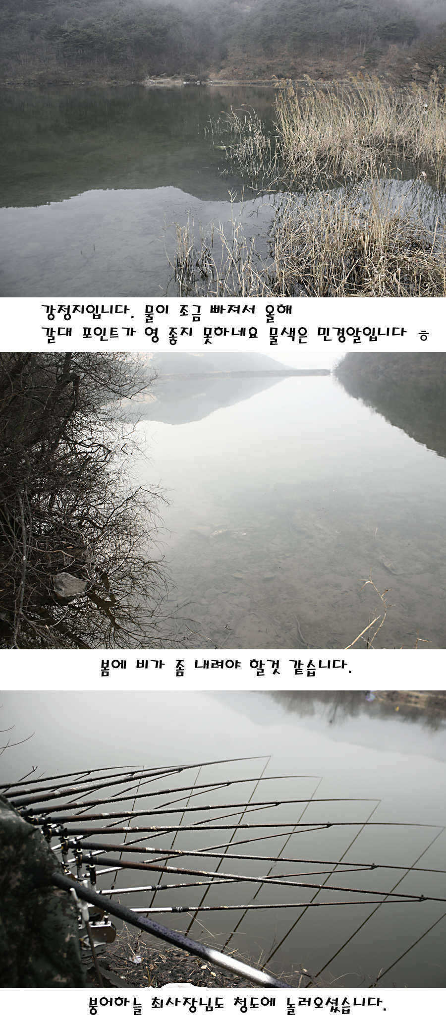 pro_johwang_01500231.jpg
