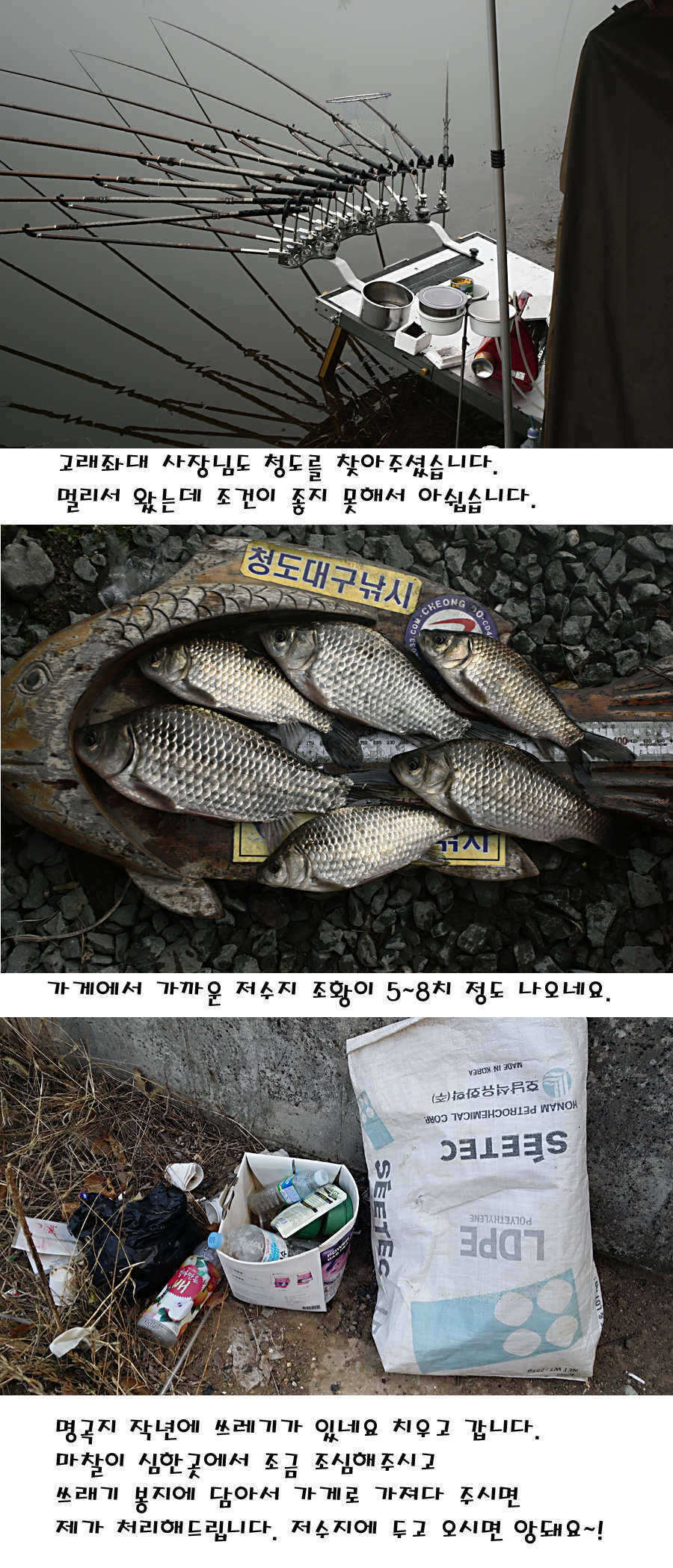 pro_johwang_01500467.jpg