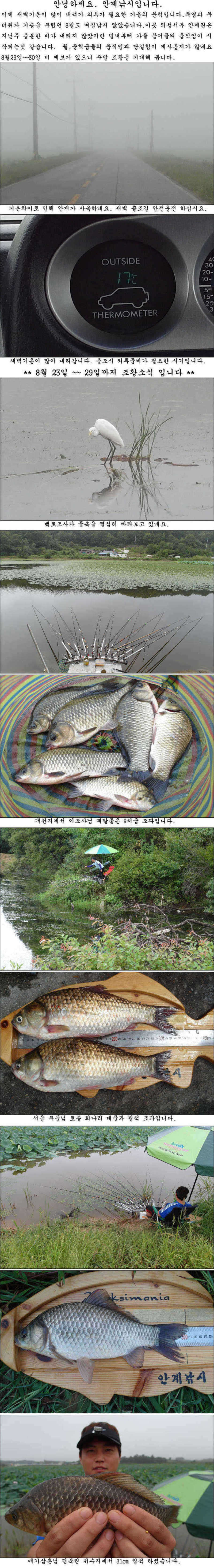 pro_johwang_01521031.jpg