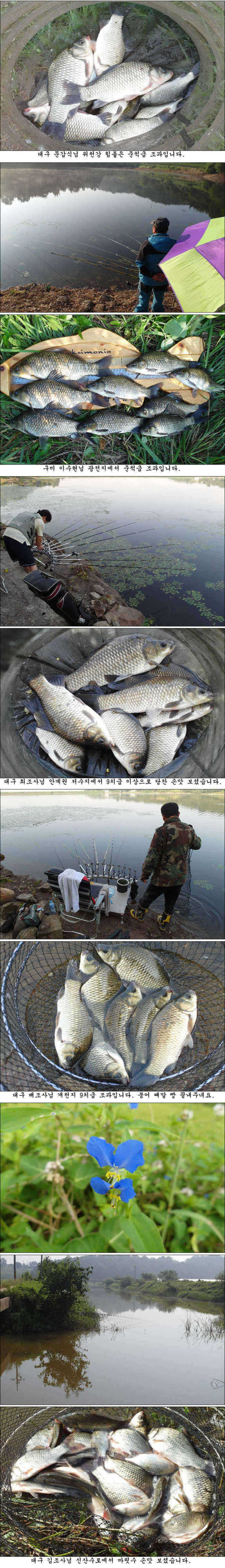 pro_johwang_01524520.jpg