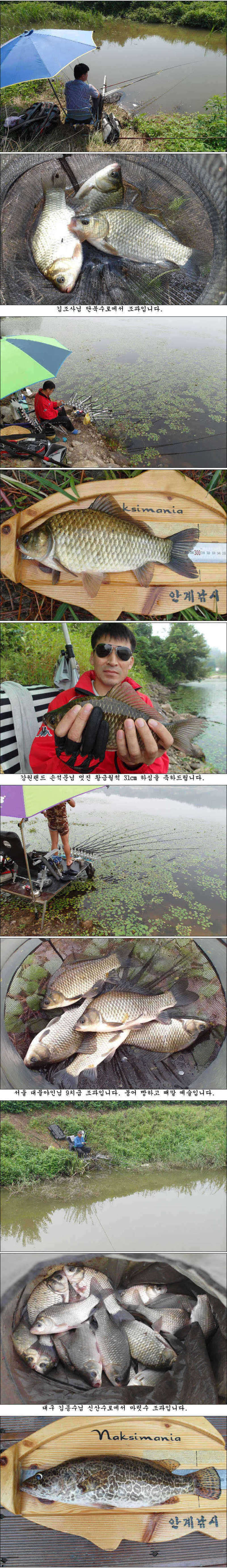 pro_johwang_01525995.jpg