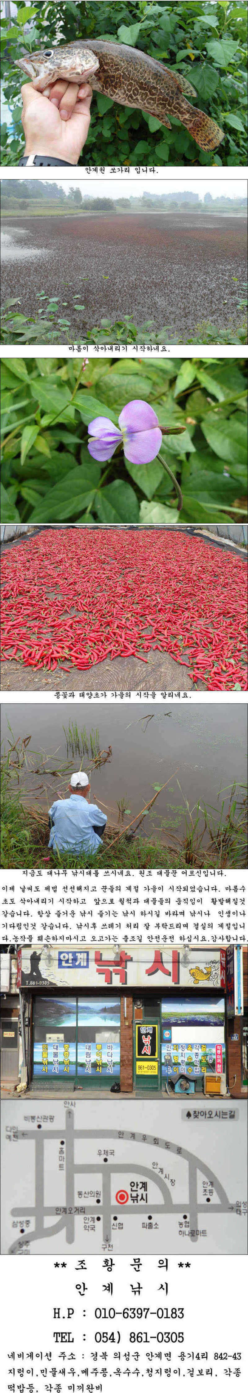 pro_johwang_01531039.jpg