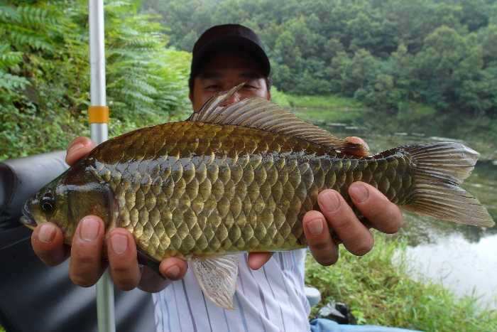 pro_johwang_01533298.jpg