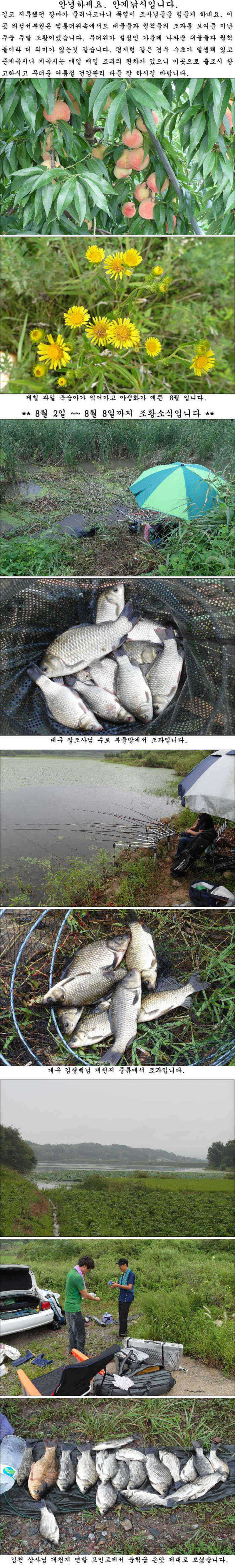 pro_johwang_01561544.jpg