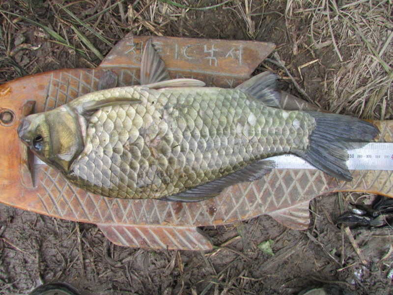 pro_johwang_01563380.jpg