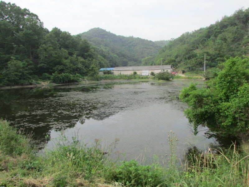 pro_johwang_01580851.jpg