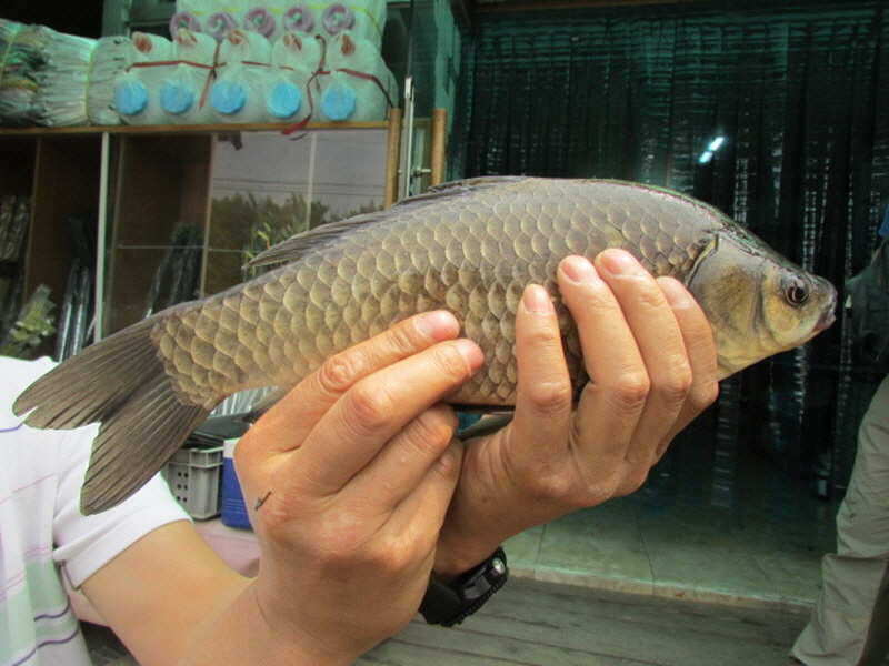 pro_johwang_01590523.jpg