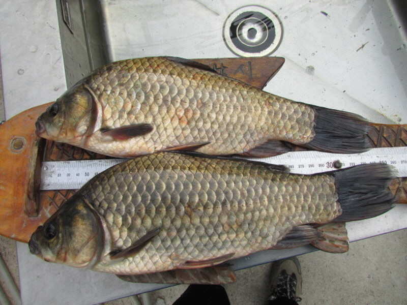 pro_johwang_02002127.jpg