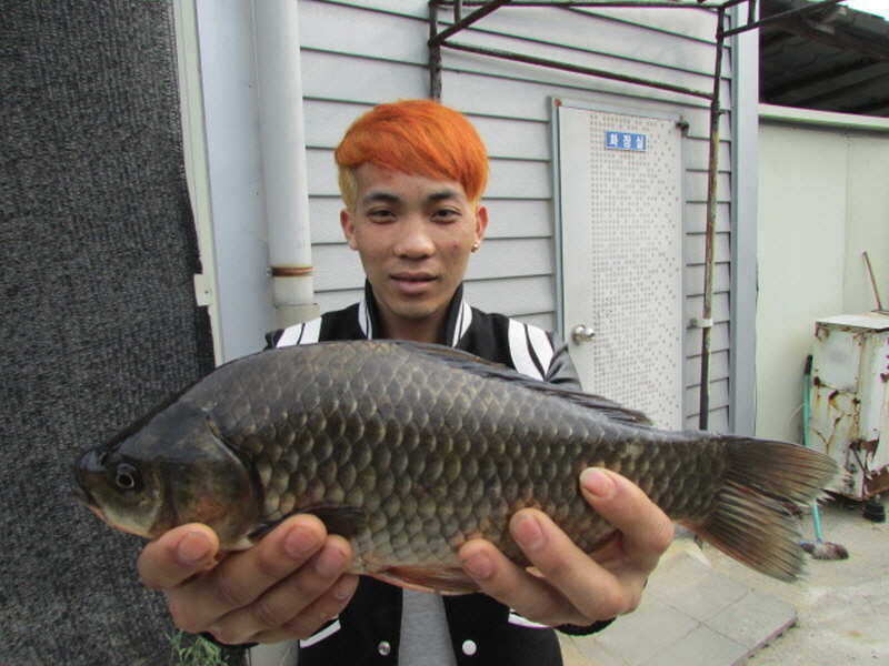 pro_johwang_02013253.jpg