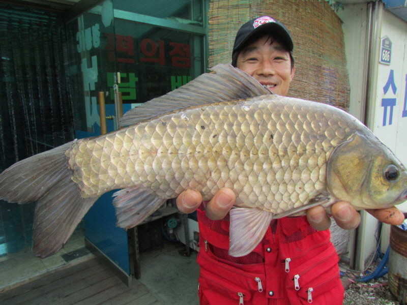 pro_johwang_02031359.jpg
