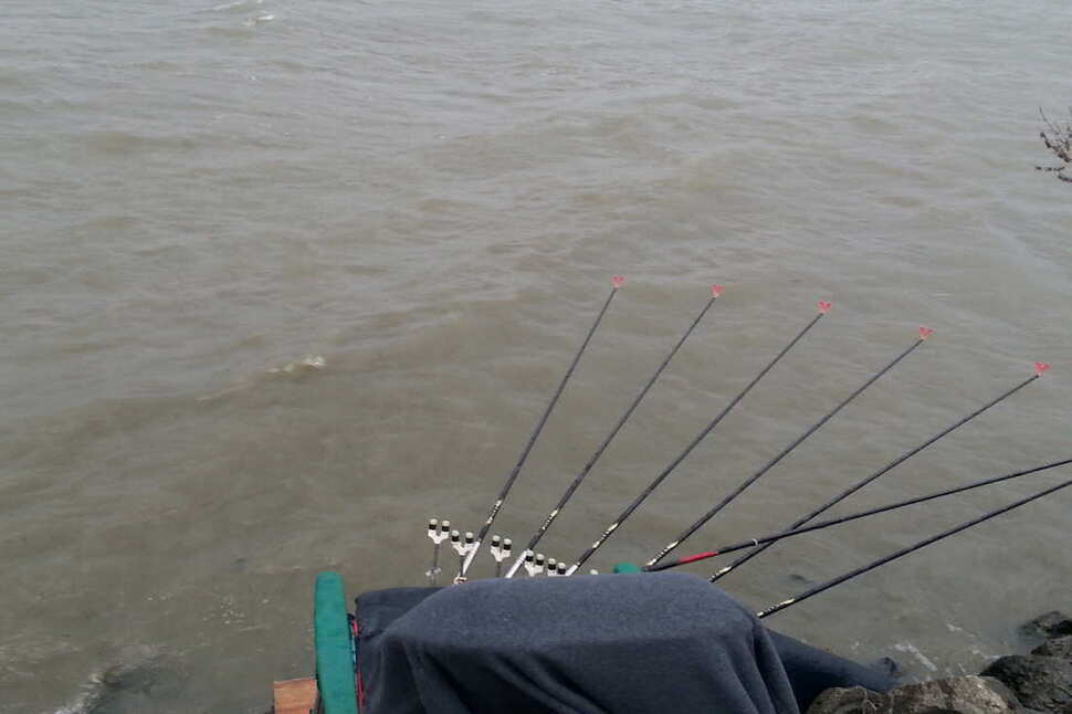 pro_johwang_02041116.jpg