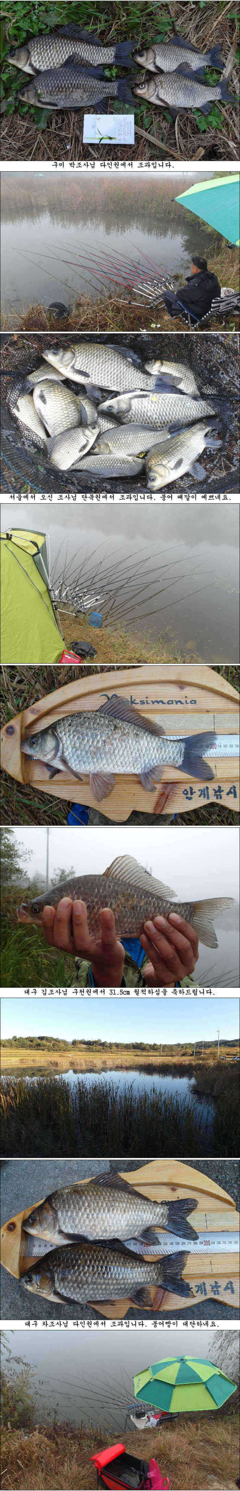 pro_johwang_02054863.jpg