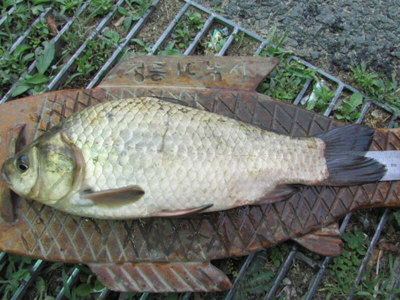 pro_johwang_02063074.jpg