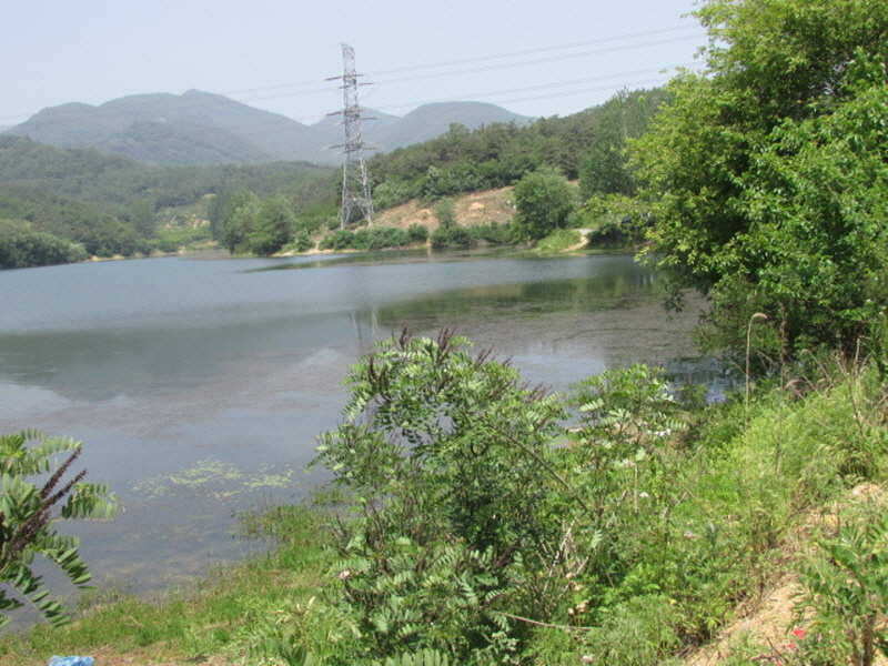 pro_johwang_02085819.jpg