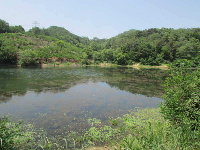 pro_johwang_02091067.jpg