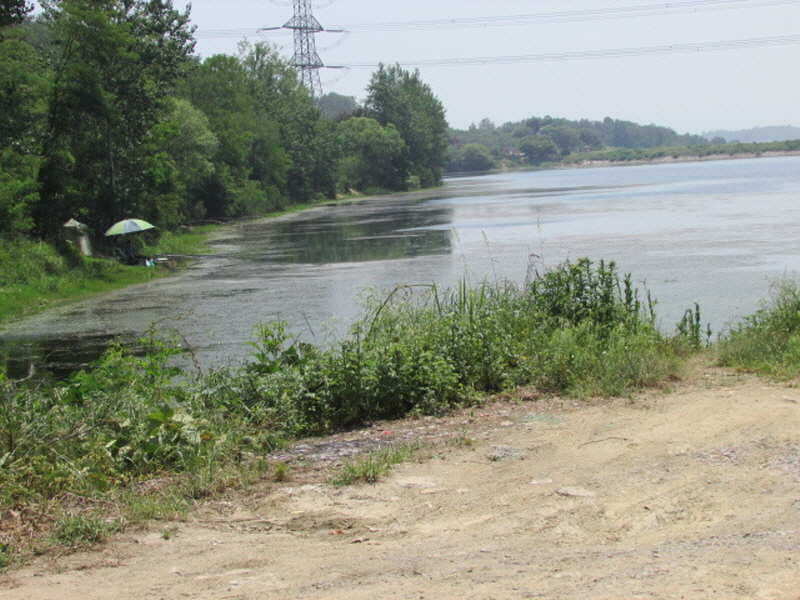 pro_johwang_02091425.jpg