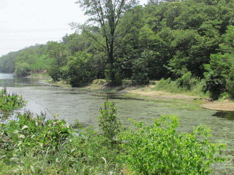 pro_johwang_02092315.jpg