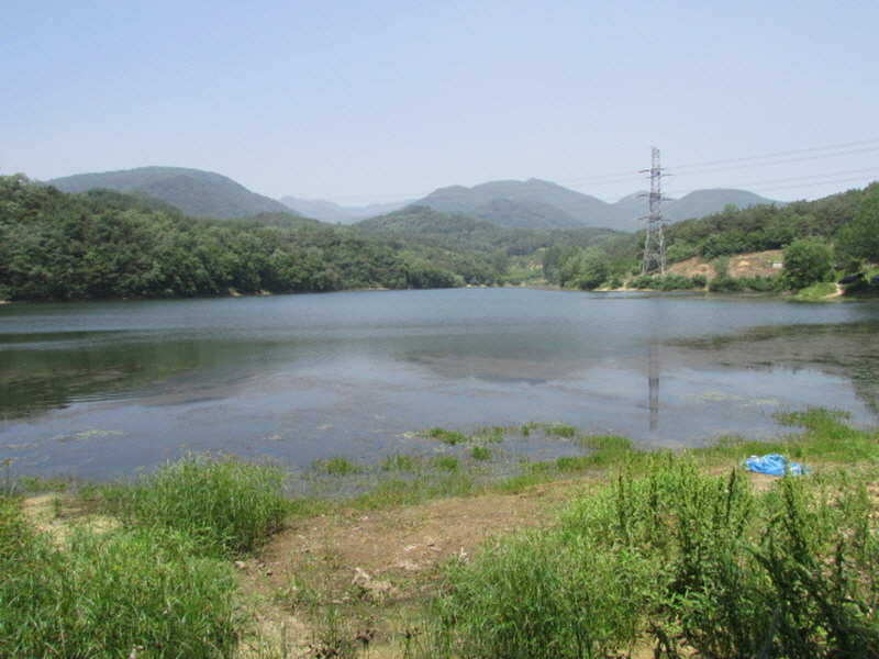 pro_johwang_02092722.jpg