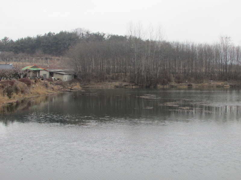 pro_johwang_02120316.jpg