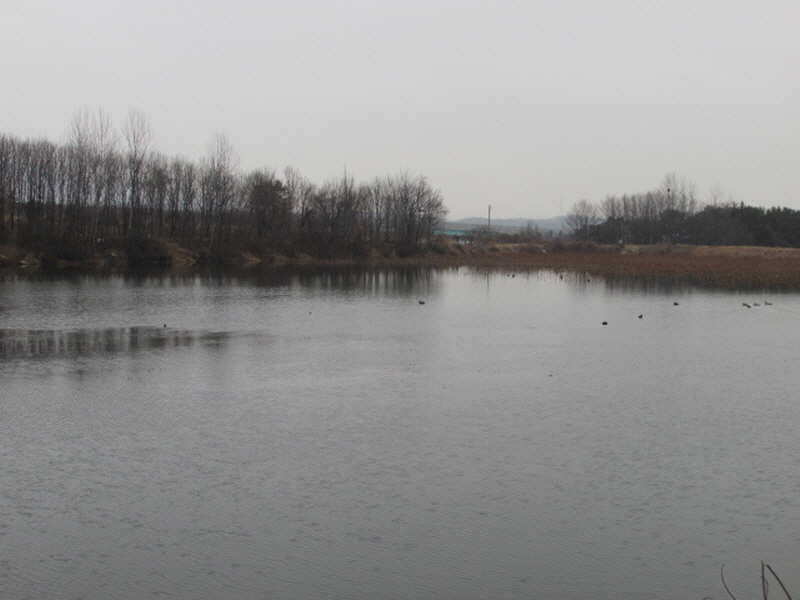 pro_johwang_02120838.jpg