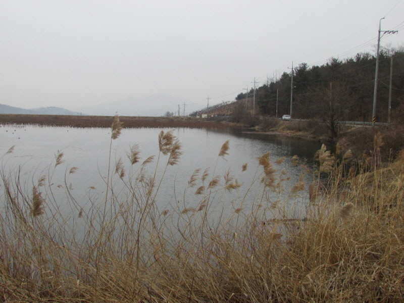 pro_johwang_02121472.jpg