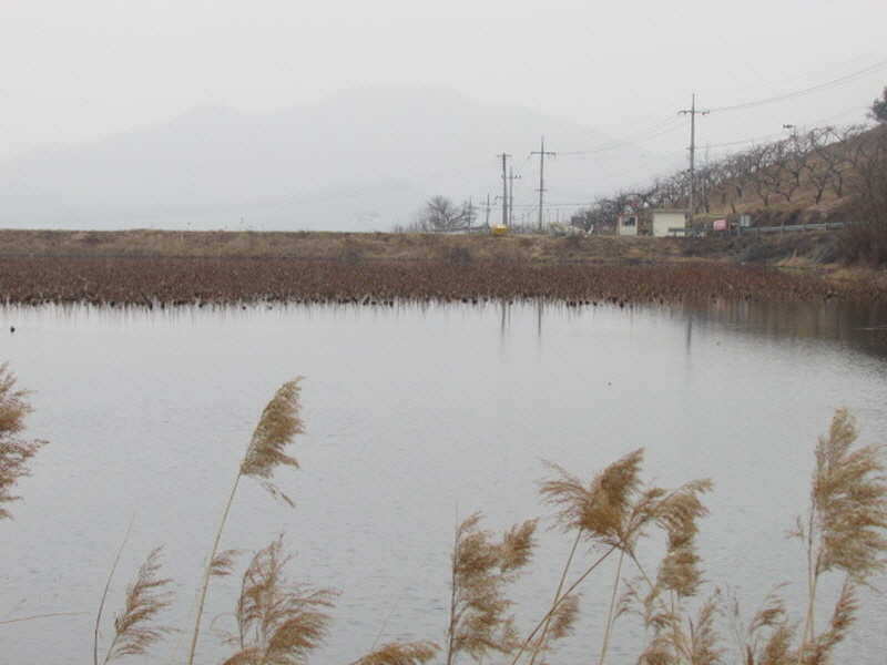 pro_johwang_02122396.jpg