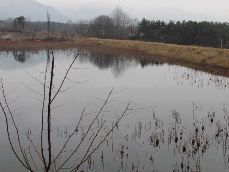 pro_johwang_02123260.jpg