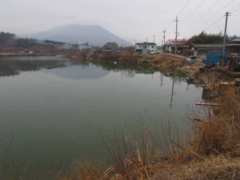 pro_johwang_02133310.jpg