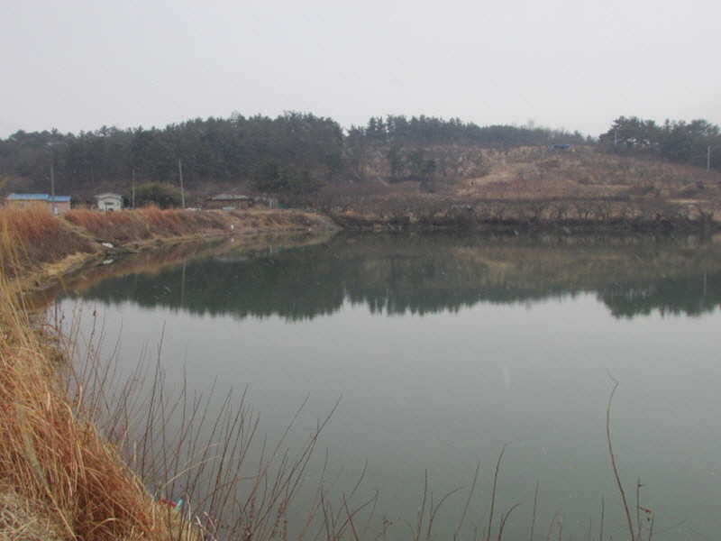 pro_johwang_02134555.jpg