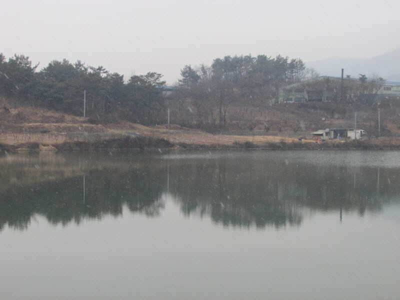 pro_johwang_02135473.jpg