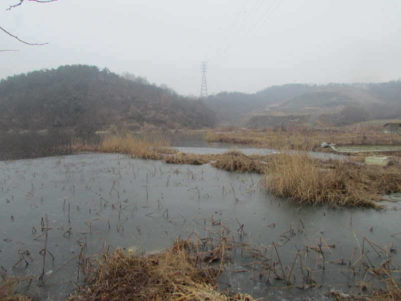 pro_johwang_02162872.jpg
