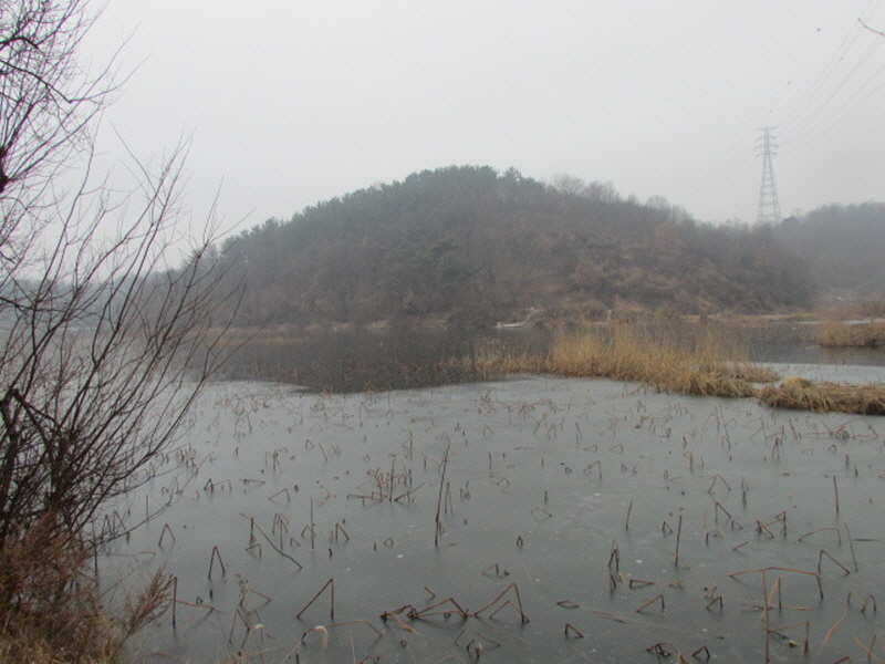 pro_johwang_02163466.jpg