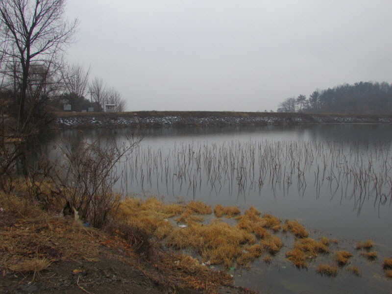 pro_johwang_02164782.jpg