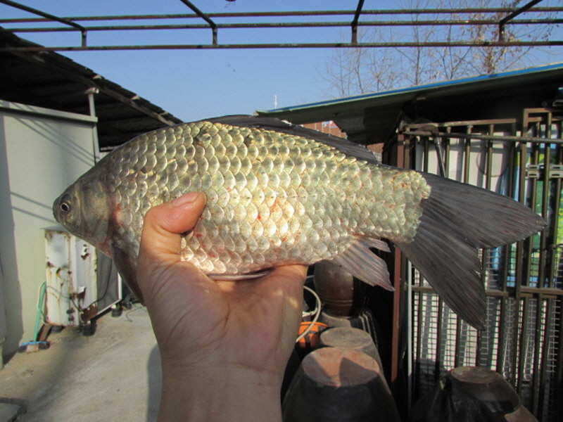 pro_johwang_0217463.jpg