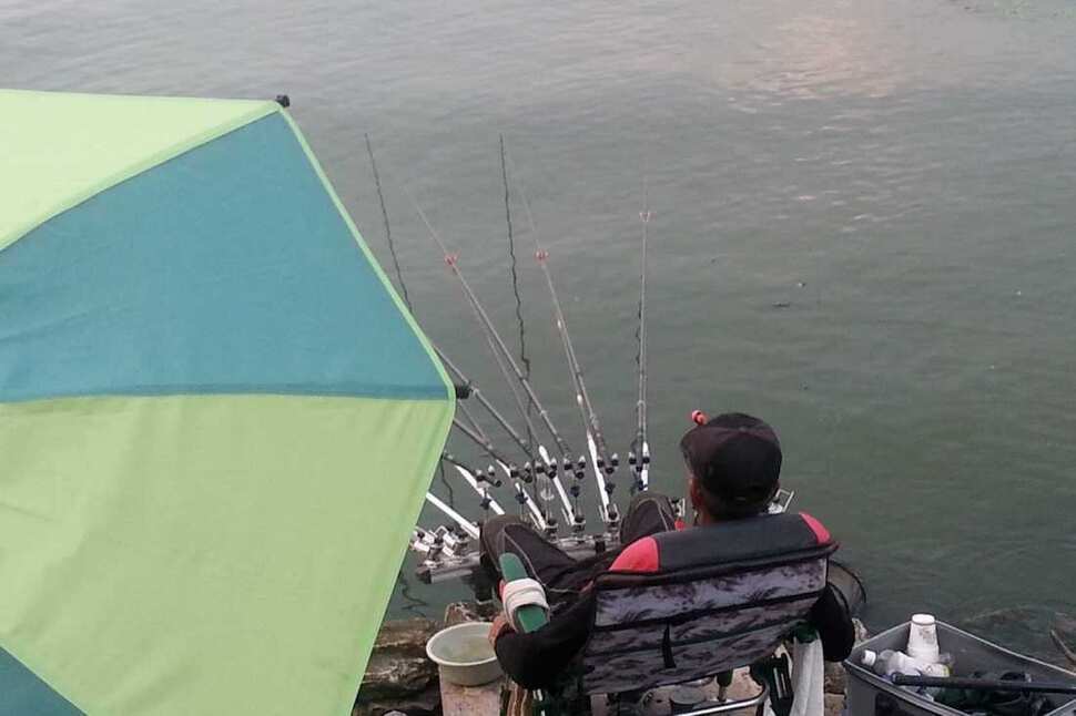 pro_johwang_0220368.jpg