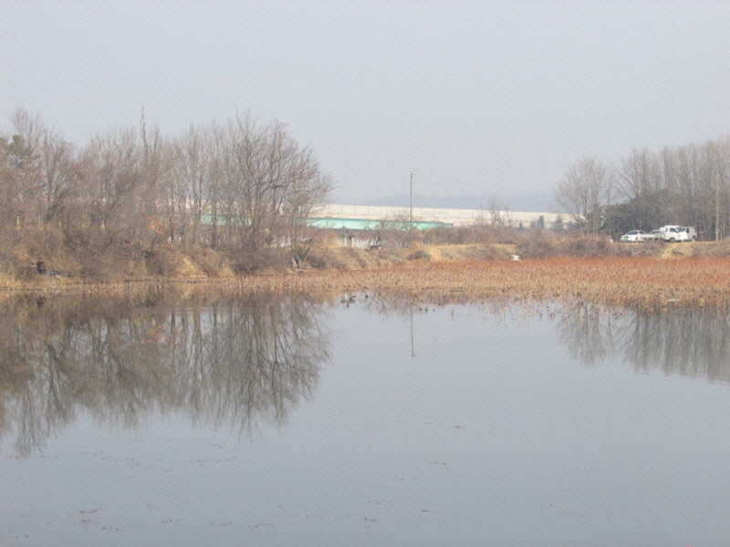 pro_johwang_02215889.jpg