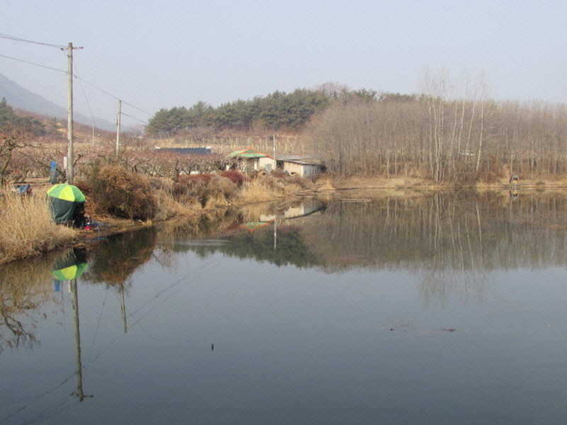 pro_johwang_02221383.jpg