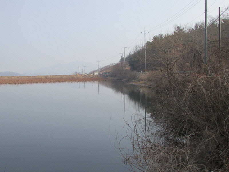 pro_johwang_02222093.jpg