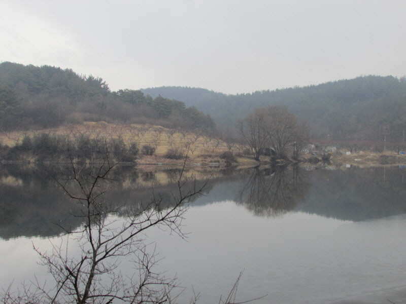 pro_johwang_02233195.jpg