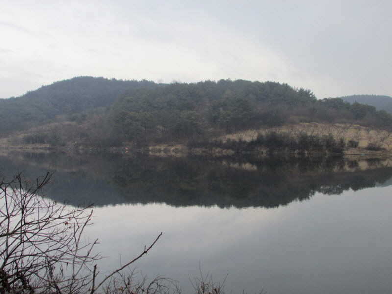 pro_johwang_02233786.jpg