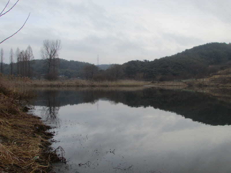 pro_johwang_02240495.jpg