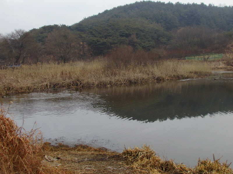 pro_johwang_02242316.jpg