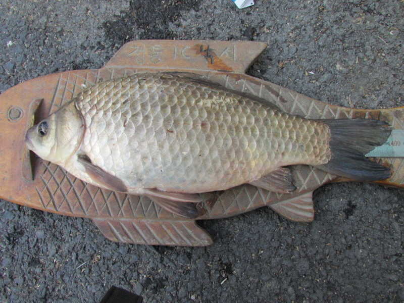 pro_johwang_02300129.jpg