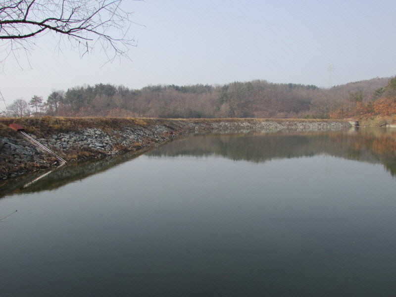 pro_johwang_0230022.jpg