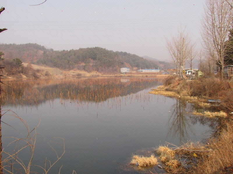 pro_johwang_02300975.jpg